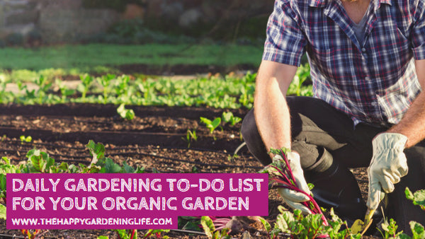 Daily Gardening To-Do List for Your Organic Garden