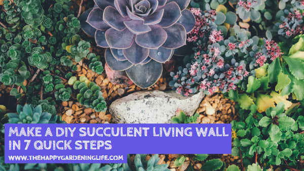 Make a DIY Succulent Living Wall in 7 Quick Steps