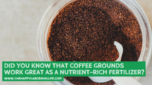 Did You Know That Coffee Grounds Work Great as a Nutrient-Rich Fertilizer? Find Out More Here!