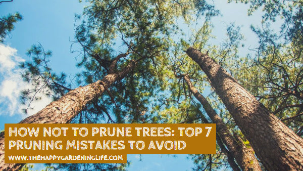 How NOT to Prune Trees: Top 7 Pruning Mistakes to Avoid