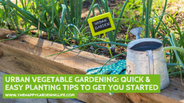 Urban Vegetable Gardening: Quick & Easy Planting Tips to Get You Started