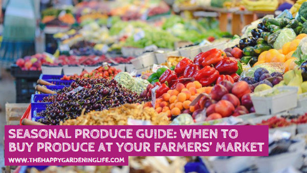 Seasonal Produce Guide: When to Buy Produce at Your Farmers’ Market