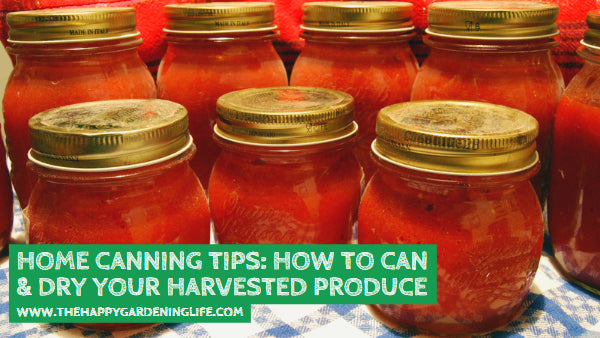 Home Canning Tips: How to Can & Dry Your Harvested Produce