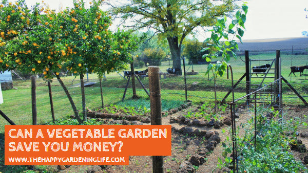 Can A Vegetable Garden Save You Money?