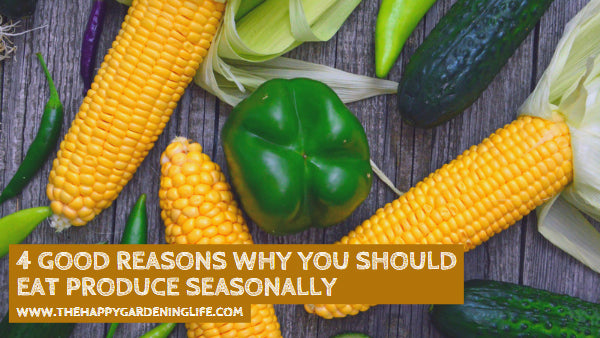 4 Good Reasons Why You Should Eat Produce Seasonally
