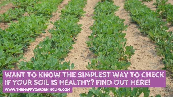 Want to Know the Simplest Way to Check If Your Soil is Healthy? Find Out Here!