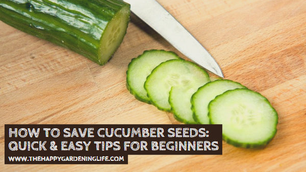 How to Save Cucumber Seeds: Quick & Easy Tips for Beginners – The Happy