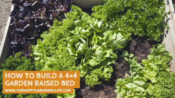 How to Build a 4×4 Garden Raised Bed