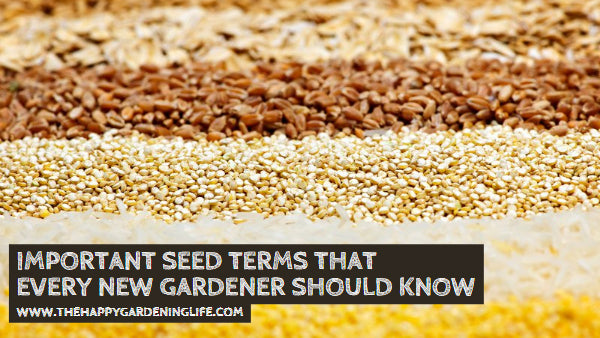 Important Seed Terms That Every New Gardener Should Know