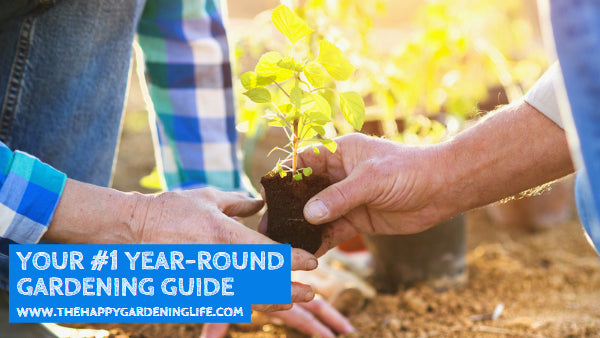 Your #1 Year-Round Gardening Guide