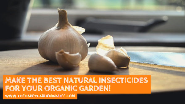 Make the Best Natural Insecticides for Your Organic Garden!