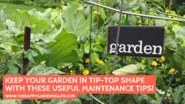 Keep Your Garden in Tip-Top Shape With These Useful Maintenance Tips!