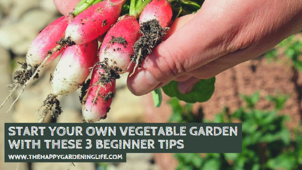 Start Your Own Vegetable Garden With These 3 Beginner Tips