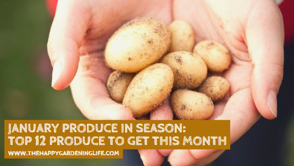 January Produce in Season: Top 12 Produce to Get This Month