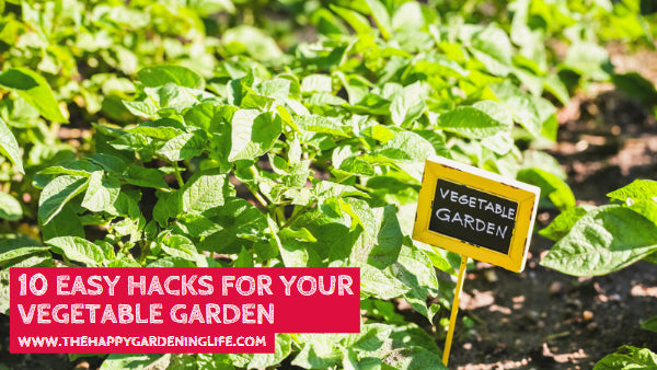 10 Easy Hacks for Your Vegetable Garden