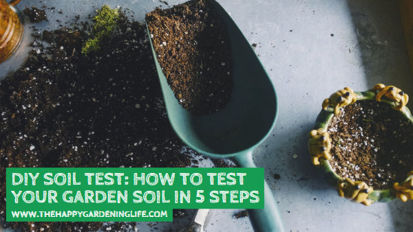 DIY Soil Test: How to Test Your Garden Soil in 5 Steps