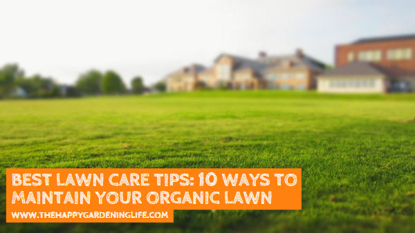 Best Lawn Care Tips: 10 Ways to Maintain Your Organic Lawn