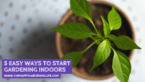 5 Easy Ways to Start Gardening Indoors