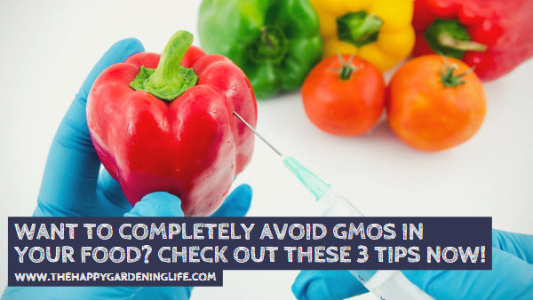 Want to Completely Avoid GMOs in Your Food? Check Out These 3 Tips Now!