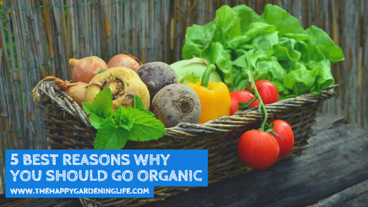 5 Best Reasons Why You Should Go Organic