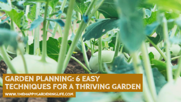 Garden Planning: 6 Easy Techniques for a Thriving Garden