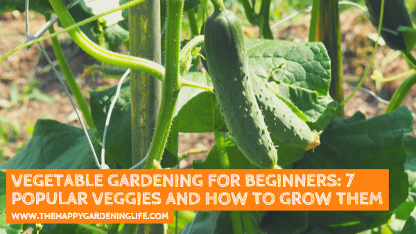 Vegetable Gardening for Beginners: 7 Popular Veggies and How to Grow Them