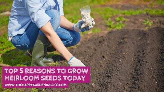 Top 5 Reasons to Grow Heirloom Seeds Today