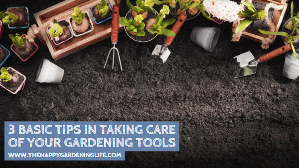 3 Basic Tips in Taking Care of Your Gardening Tools
