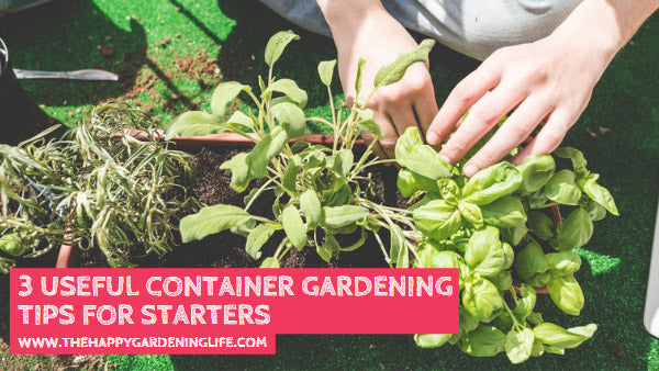 3 Useful Container Gardening Tips for Starters