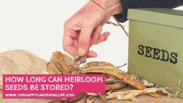 How Long Can Heirloom Seeds Be Stored? – The Happy Gardening Life