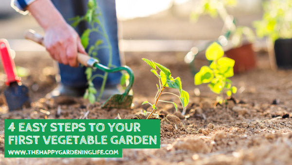 4 Easy Steps to Your First Vegetable Garden