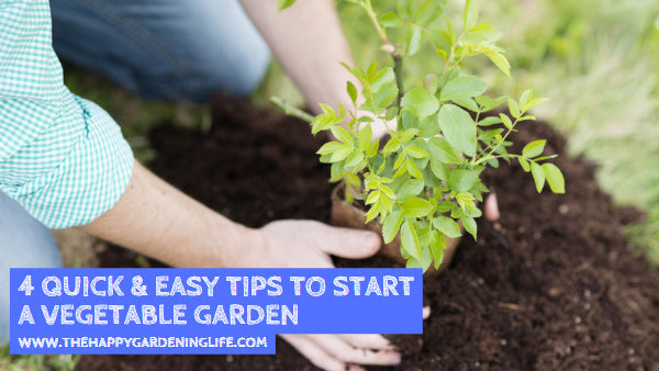 4 Quick & Easy Tips to Start a Vegetable Garden