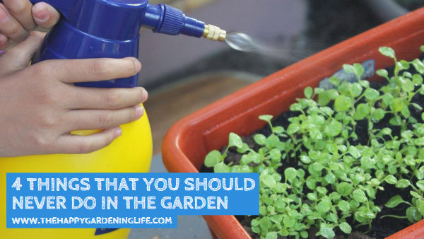 4 Things That You Should Never Do in the Garden