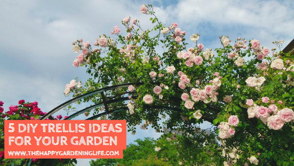 5 DIY Trellis Ideas for Your Garden
