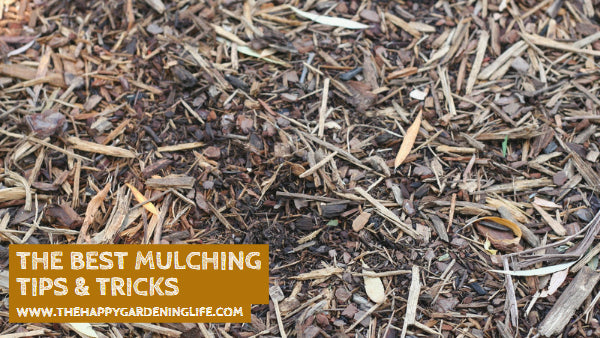 The Best Mulching Tips & Tricks