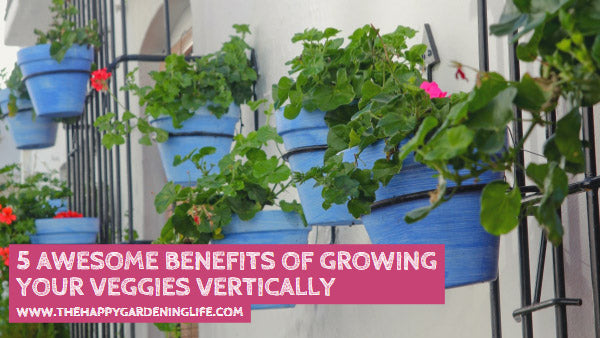 5 Awesome Benefits of Growing Your Veggies Vertically