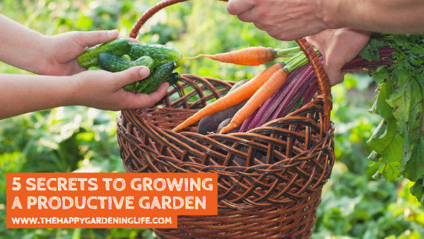 5 Secrets to Growing a Productive Garden