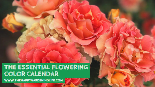 The Essential Flowering Colour Calendar