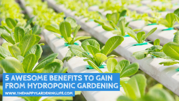 5 Awesome Benefits to Gain from Hydroponic Gardening