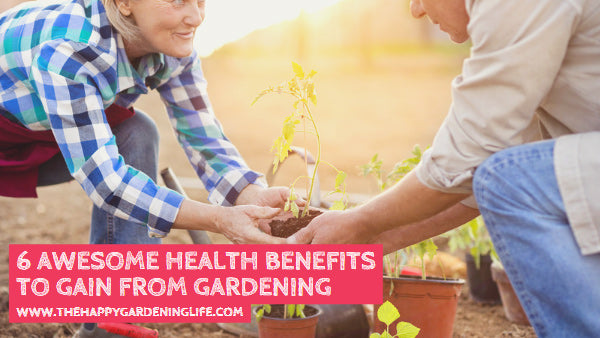 6 Awesome Health Benefits to Gain from Gardening