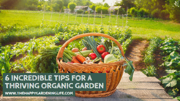 6 Incredible Tips for a Thriving Organic Garden – The Happy Gardening Life