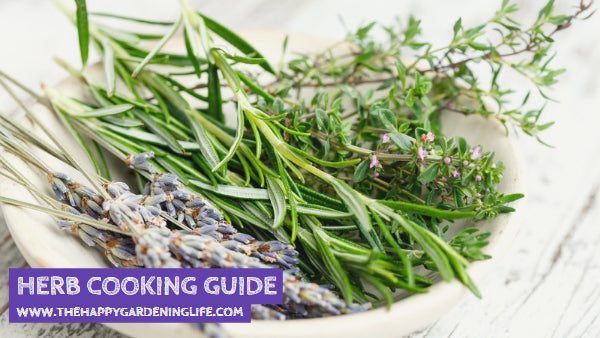 Herb Cooking Guide
