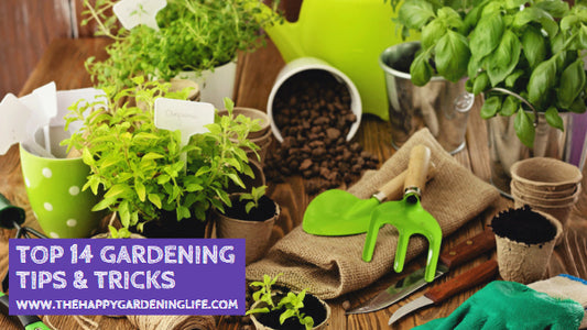 Top 14 Gardening Tips & Tricks