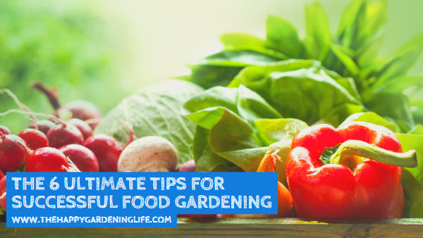 The 6 Ultimate Tips for Successful Food Gardening