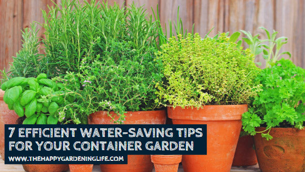 7 Efficient Water-Saving Tips for Your Container Garden