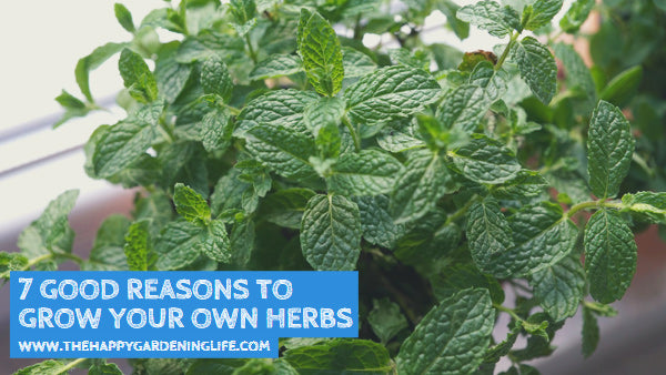 7 Good Reasons to Grow Your Own Herbs – The Happy Gardening Life