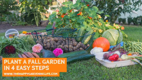 Plant a Fall Garden in 4 Easy Steps