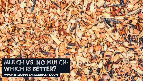 Mulch vs. No Mulch: Which is Better?