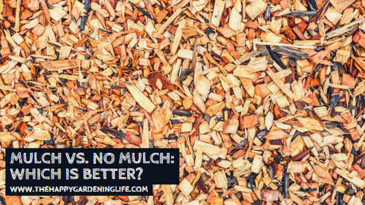 Mulch vs. No Mulch: Which is Better?