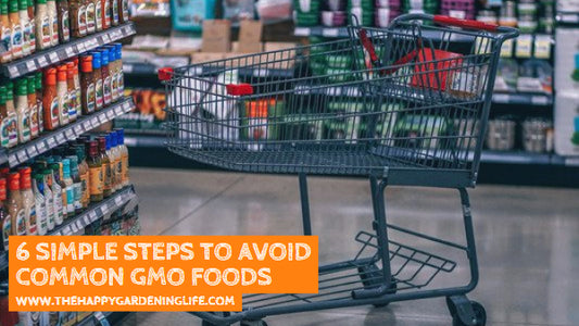6 Simple Steps to Avoid Common GMO Foods